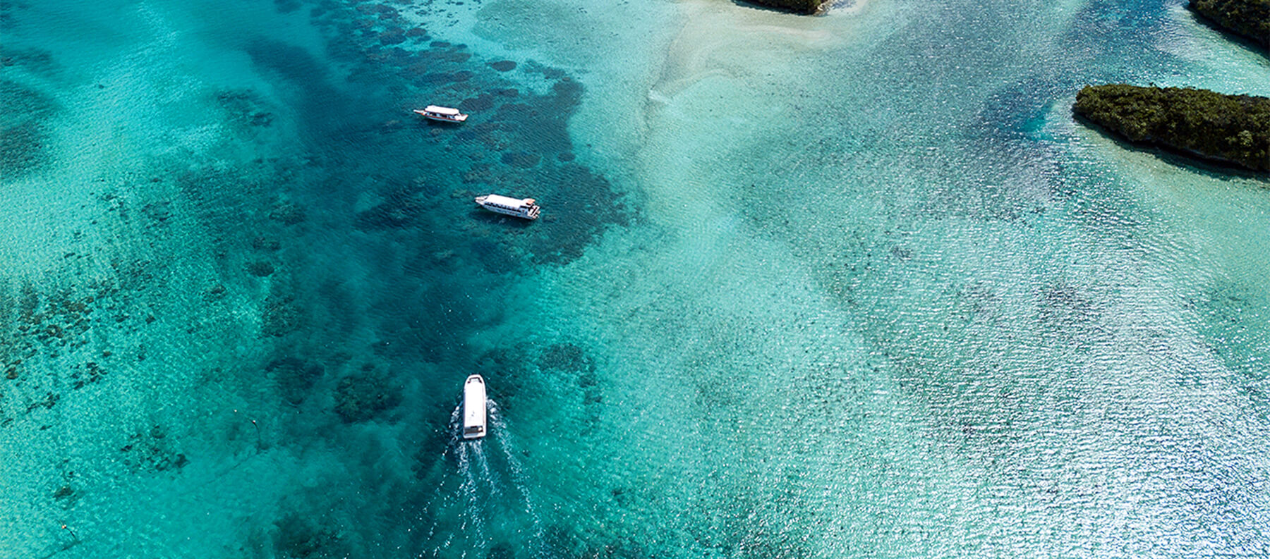 Beautiful Ocean